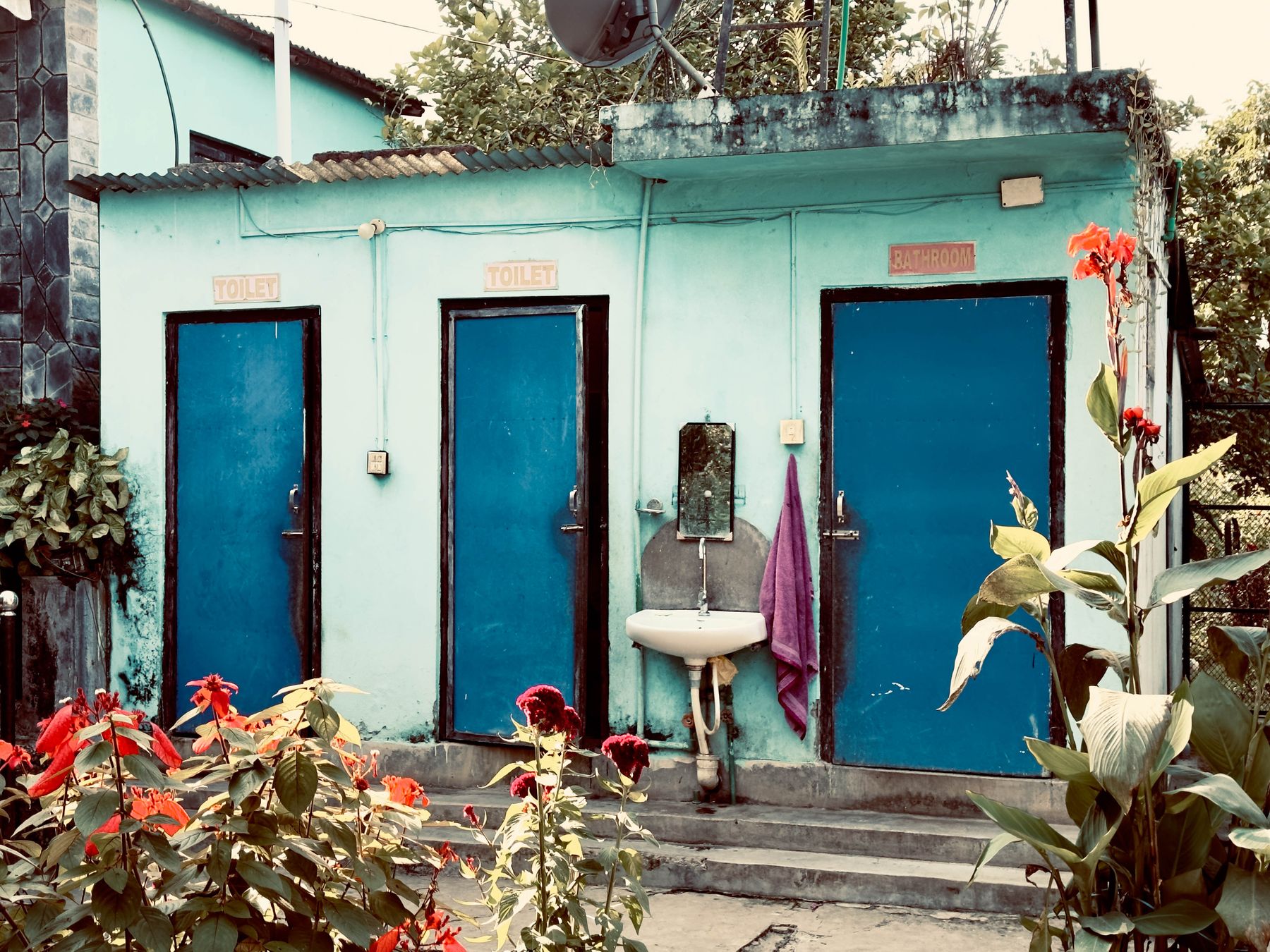 Blue Doored Toilets